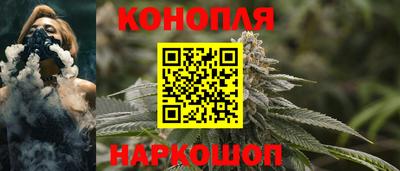 mdpv Гатчина