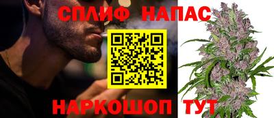 mdpv Гатчина