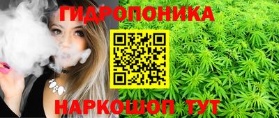 mdpv Гатчина