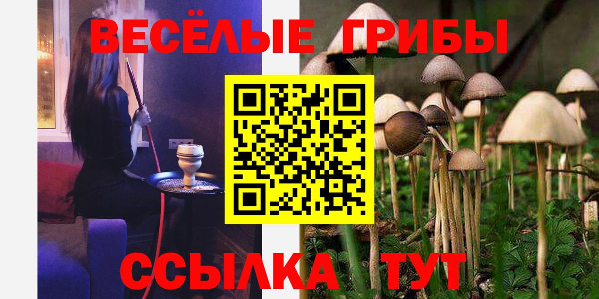 Псилоцибиновые грибы Cubensis  Псилоцибиновые грибы ЛСД  закладки  Вход с VPN  Новоуральск 