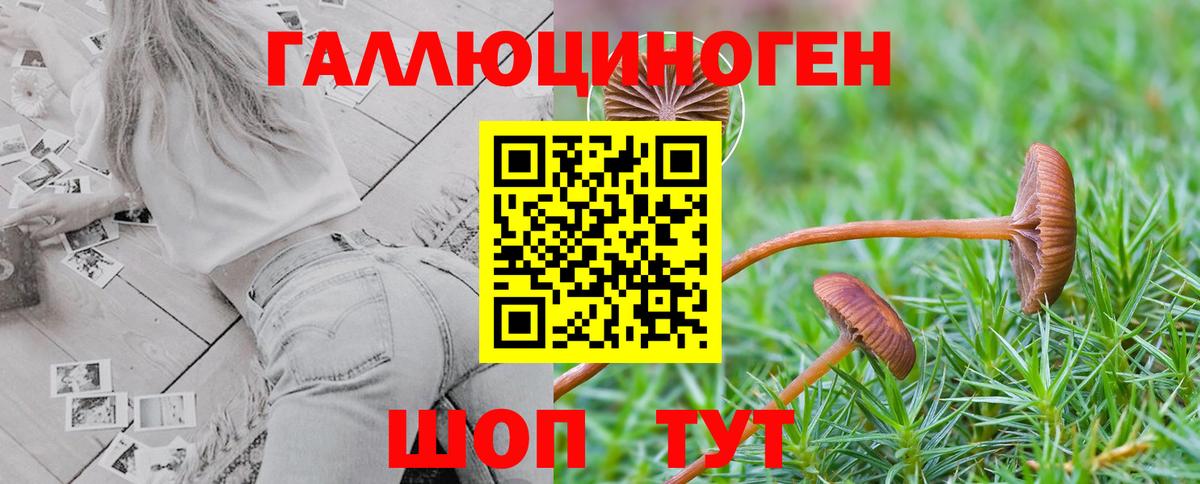 Галлюциногенные грибы мухоморы Новоуральск